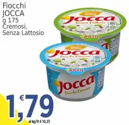 Market Ingross Fiocchi Cremosi Senza Lattosio Jocca offerta