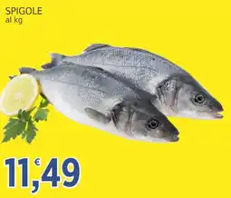 Market Ingross Spigole offerta