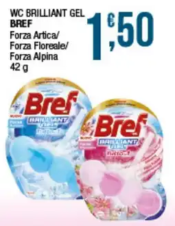 Sidis WC Brilliant Gel Bref offerta