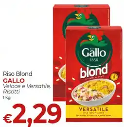 Maxi Nonna Isa Riso Blond Gallo offerta