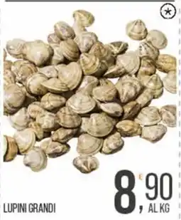 Cash pro Lupini grandi offerta