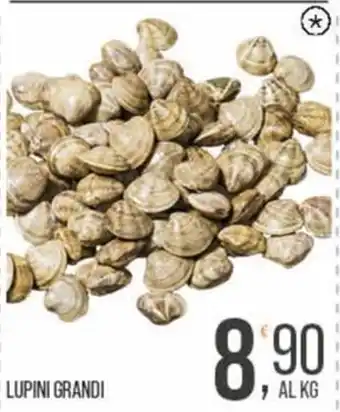 Cash pro Lupini grandi offerta