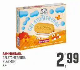 Maxipiù Gelatomerenda Plasmon offerta