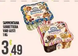 Netto Supermercati Sammontana Sorbettiera Vari Gusti offerta