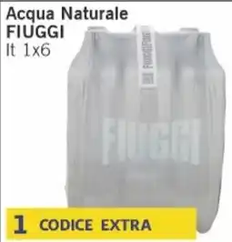 Market Ingross Acqua Naturale FIUGGI offerta