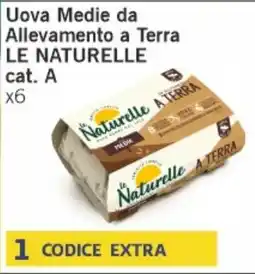 Market Ingross Uova Medie da Allevamento a Terra Le Naturelle offerta