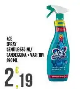 Netto Supermercati Ace spray gentile offerta