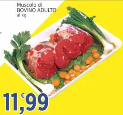 Market Ingross Muscolo di bovino adulto offerta