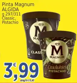 Market Ingross Pinta Magnum Algida offerta