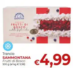 Maxi Nonna Isa Trancio Sammontana Frutti di Bosco offerta