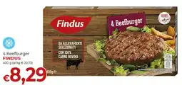 Maxi Nonna Isa 4 Beefburger Findus offerta