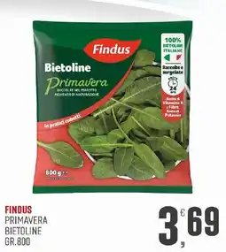 Maxipiù Findus Bietoline Primavera offerta