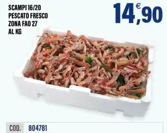Scampi 16/20