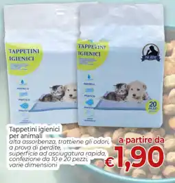Maxi Nonna Isa Tappetini igienici Mr. Jezze offerta