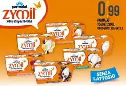 Netto Supermercati Parmalat Yogurt Zymil offerta