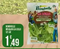 Netto Supermercati Bonduelle insalata la lollo offerta