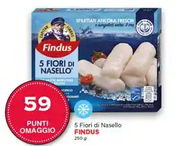 Maxi Nonna Isa 5 Fiori di Nasello Findus offerta