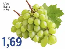 Market Ingross Uva Italia offerta