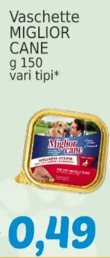 Market Ingross Vaschette Miglior Cane offerta