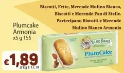 Market Ingross Mulino Bianco Plumcake Armonia offerta