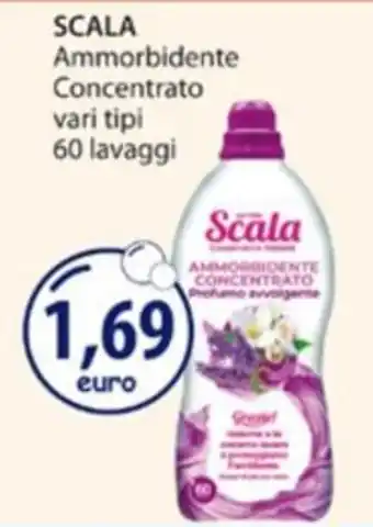 Scala Ammorbidente Concentrato