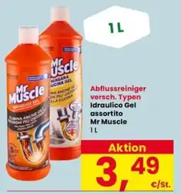 Interspar Abflussreiniger versch. Typen Idraulico Gel assortito Mr Muscle offerta