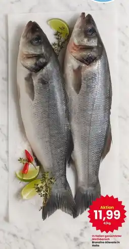 Interspar Branzino Allevato in Italia offerta