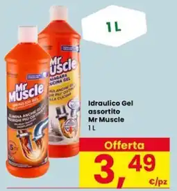 Eurospar Idraulico Gel assortito Mr Muscle offerta