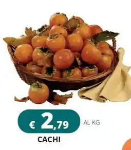 Altasfera Cachi offerta