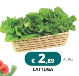 Altasfera Lattuga offerta