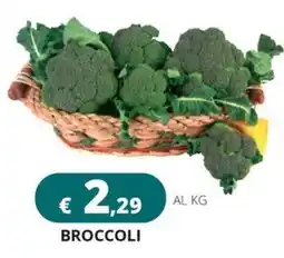 Altasfera Broccoli offerta