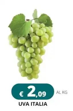Altasfera Uva Italia offerta