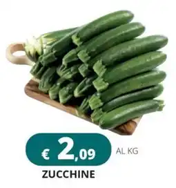 Altasfera Zucchine offerta