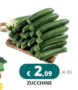 Altasfera Zucchine offerta