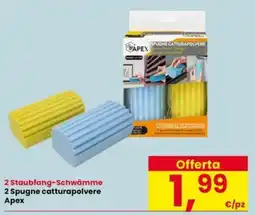 Interspar 2 Spugne catturapolvere Apex offerta