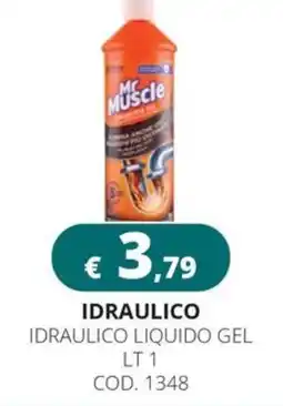 Altasfera Mr Muscle idraulico liquido gel offerta