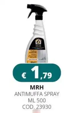 Altasfera MRH Antimuffa Spray offerta