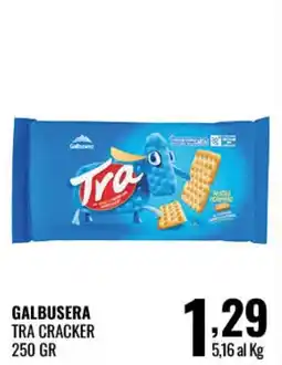 Gecop Galbusera Tra Cracker offerta