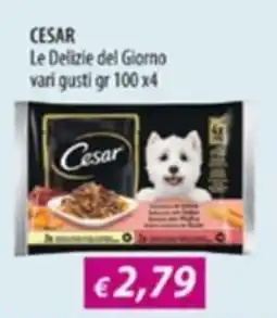 Acqua & Sapone Le Delizie del Giorno Cesar offerta