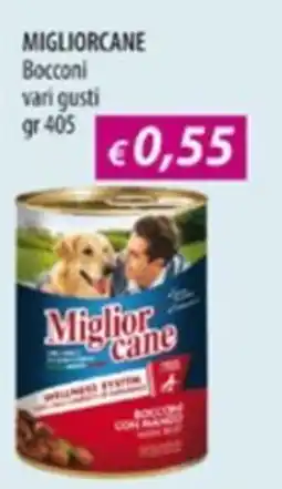 Acqua & Sapone Bocconi vari gusti Miglior cane offerta