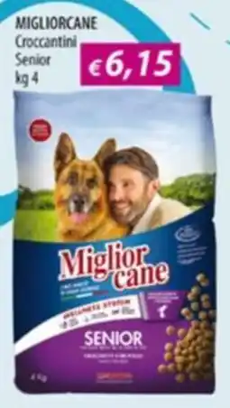 Acqua & Sapone Miglior cane Croccantini Senior offerta