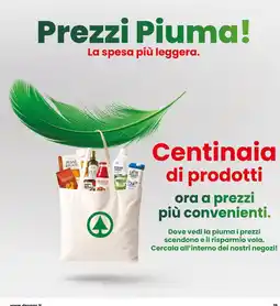 Eurospar Penne rigate Frollini offerta