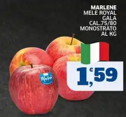 Sigma Marlene mele royal gala offerta
