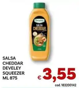 Vivo Supermercati Salsa Cheddar Develey Squeezer offerta