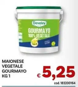 Vivo Supermercati Develey Maionese Vegetale Gourmayo offerta