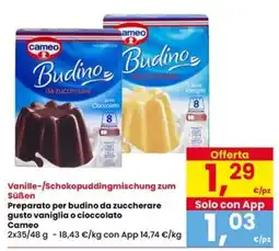 Interspar Budino Cameo offerta