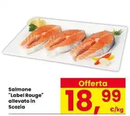 Eurospar Salmone Label Rouge offerta