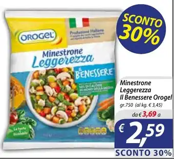 Minestrone Leggerezza Il Benessere Orogel
