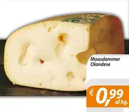 DiMeglio Maasdammer Olandese offerta