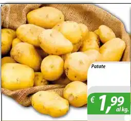 DiMeglio Patate offerta